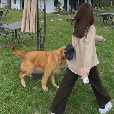 派恩少校